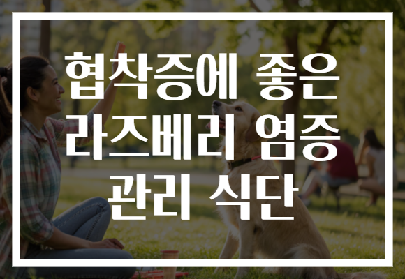 협착증에 좋은 라즈베리 염증 관리 식단