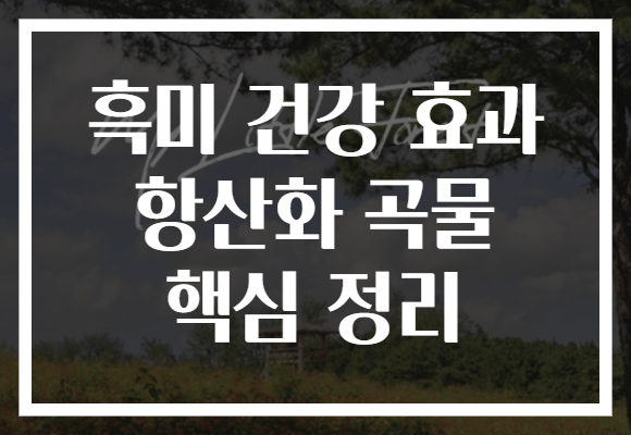 흑미 건강 효과 항산화 곡물 핵심 정리