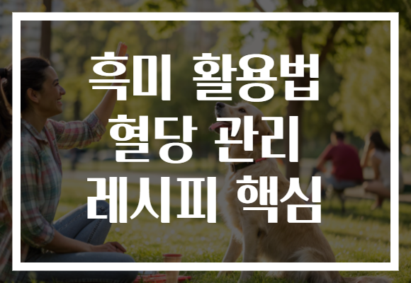 흑미 활용법 혈당 관리 레시피 핵심