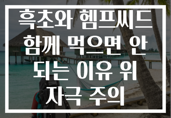 흑초와 헴프씨드 함께 먹으면 안 되는 이유 위 자극 주의 흑초와 헴프씨드 함께 먹으면 안 되는 이유 위 자극 주의