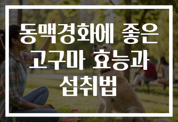 동맥경화에 좋은 고구마 효능과 섭취법