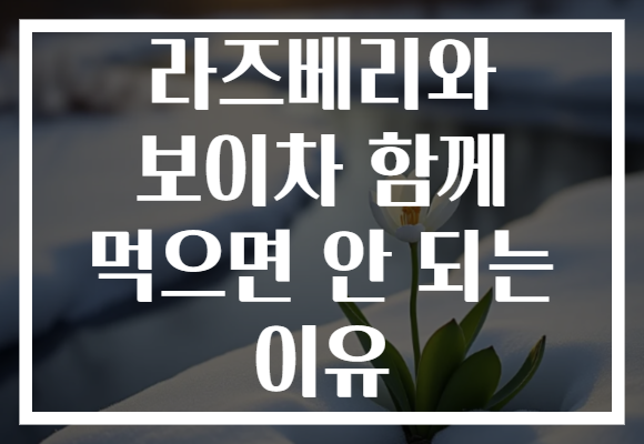 라즈베리와 보이차 함께 먹으면 안 되는 이유