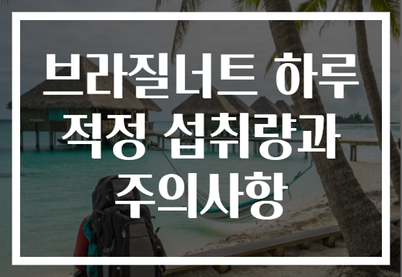 브라질너트 하루 적정 섭취량과 주의사항