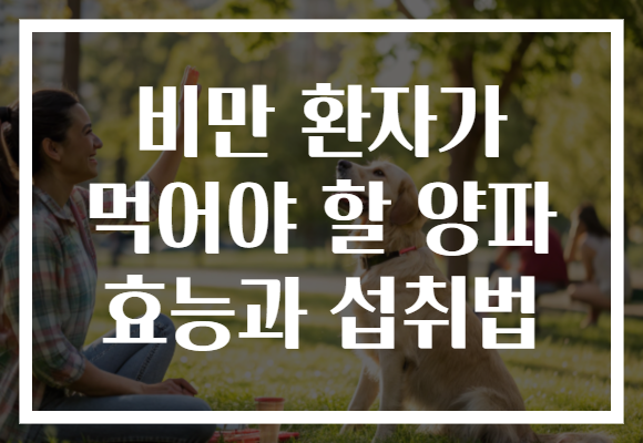 비만 환자가 먹어야 할 양파 효능과 섭취법