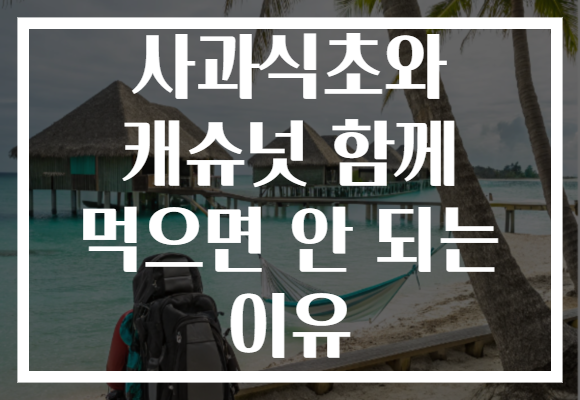 사과식초와 캐슈넛 함께 먹으면 안 되는 이유