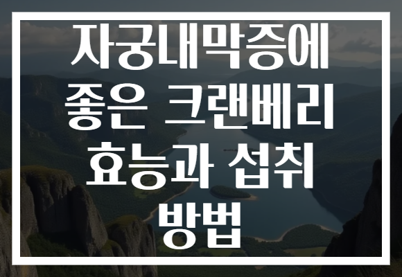 자궁내막증에 좋은 크랜베리 효능과 섭취 방법