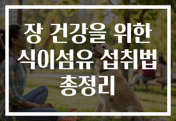장 건강을 위한 식이섬유 섭취법 총정리
