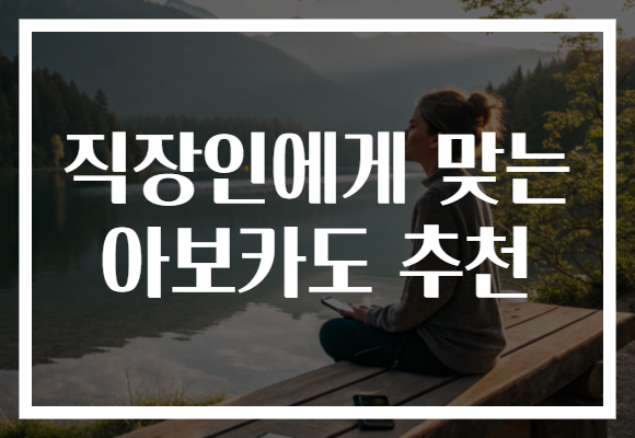직장인에게 맞는 아보카도 추천
