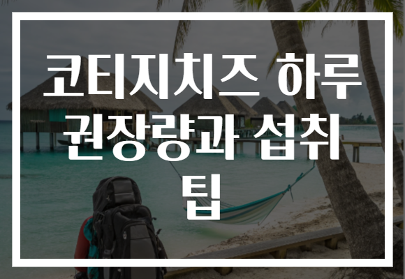 코티지치즈 하루 권장량과 섭취 팁