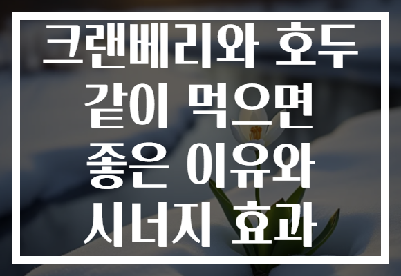 크랜베리와 호두 같이 먹으면 좋은 이유와 시너지 효과