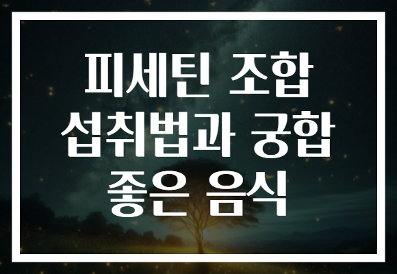 피세틴 조합 섭취법과 궁합 좋은 음식